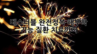 베스티블 완전정복: 해부학, 기능, 질환, 치료까지! 🔍