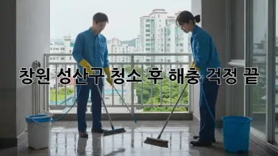 창원 성산구 청소 후, 해충 걱정 끝!